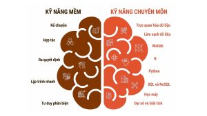 Data Science là gì? Tất tần tật từ A–Z cho người mới