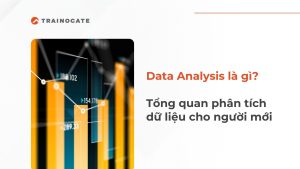Data Analysis là gì? Tổng quan về phân tích dữ liệu cho người mới