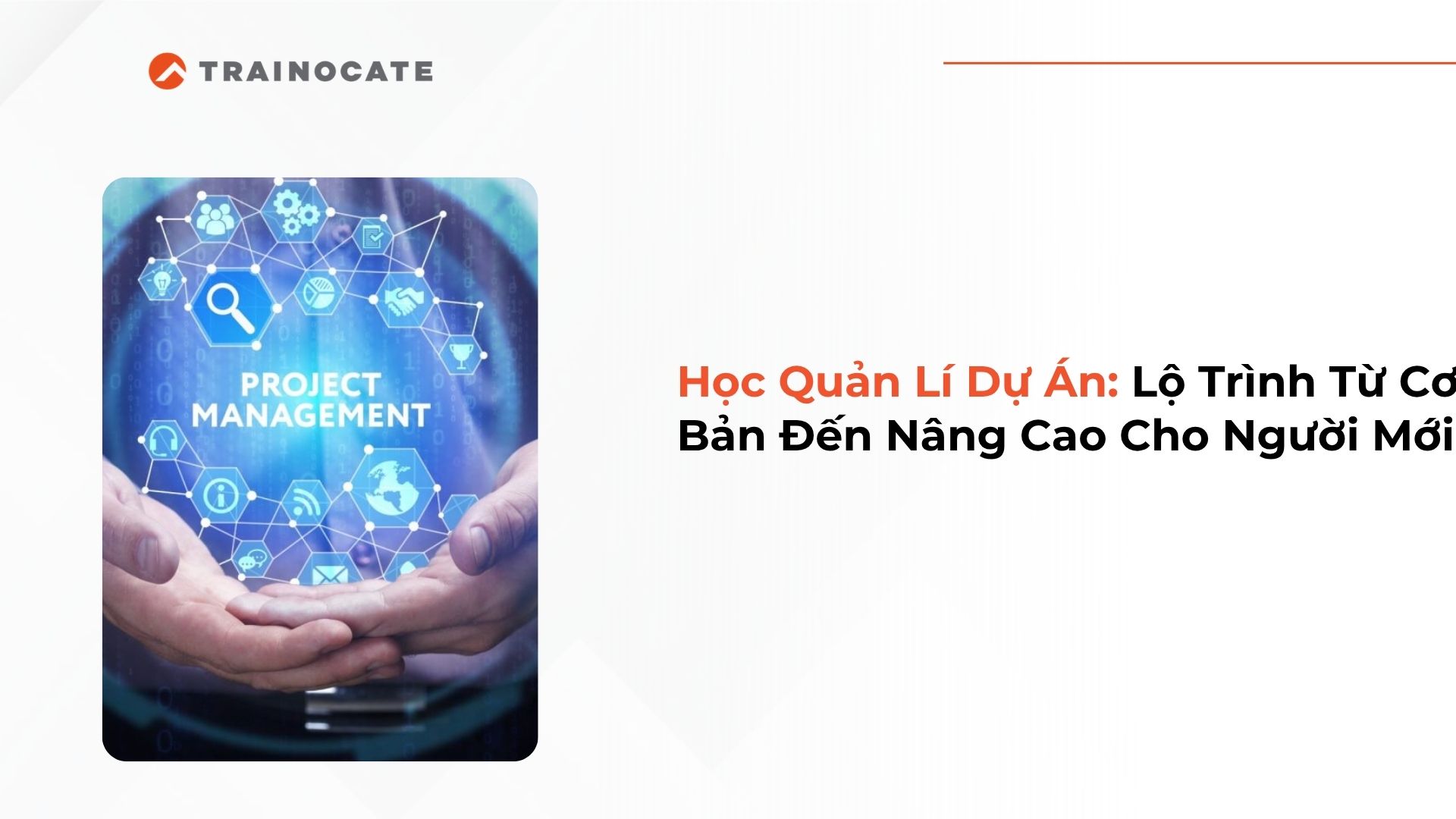 Học Quản Lí Dự Án: Lộ Trình Từ Cơ Bản Đến Nâng Cao Cho Người Mới